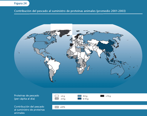 EL ESTADO MUNDIAL DE LA PESCA Y LA ACUICULTURA 2006