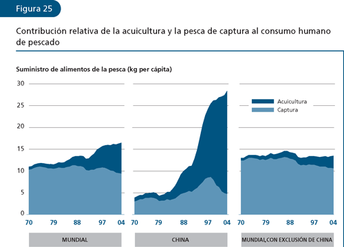 EL ESTADO MUNDIAL DE LA PESCA Y LA ACUICULTURA 2006