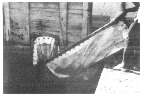 Fotograf&iacute;a 23