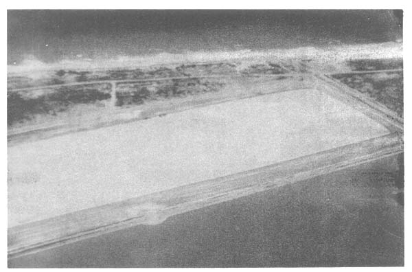 Fotograf&iacute;a 24