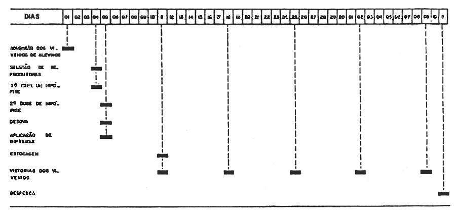 Fig 10
