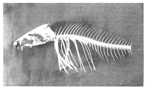 Fotograf&iacute;a 2.