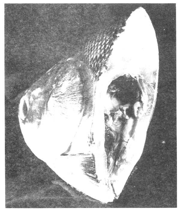 Fotograf&iacute;a 3.