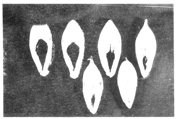 Fotograf&iacute;a 6.