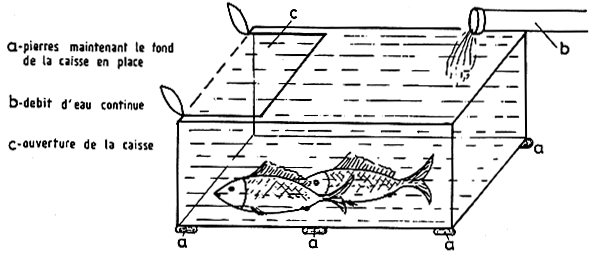 Fig.3