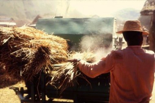 Photo 2. D�monstration d�une batteuse m�canique