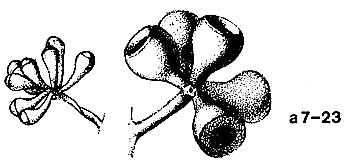 a7-23