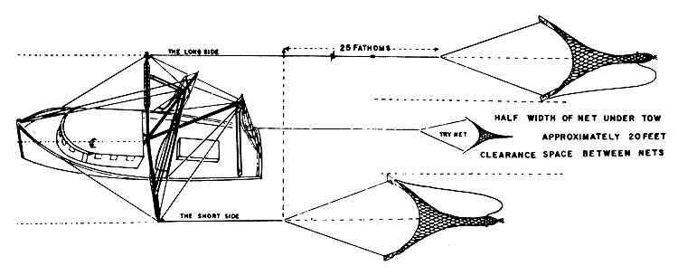 Fig. 8