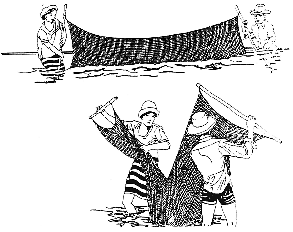 Figure 12