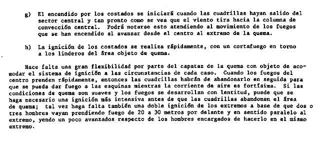 12.jpg (44044 bytes)