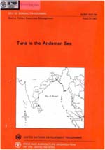 Tuna in the Andaman Sea