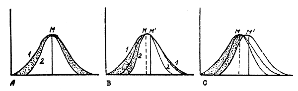 Fig.1