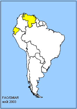 South America Map