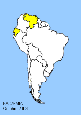 South America Map