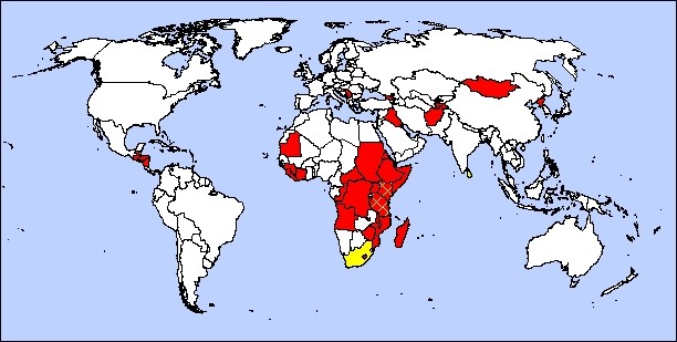 World Map