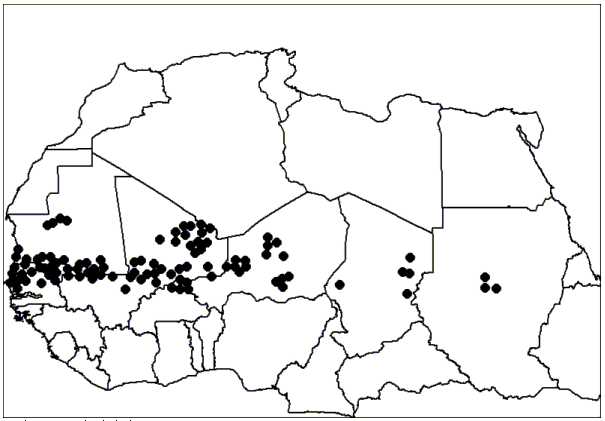 perspectivas alimentarias