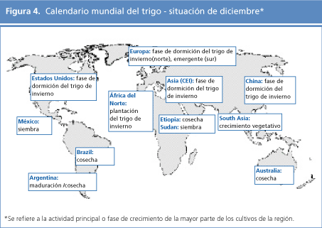 perspectivas alimentarias