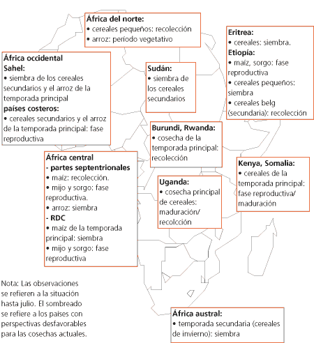 Perspectivas de Cosechas y Situaci�n Alimentaria