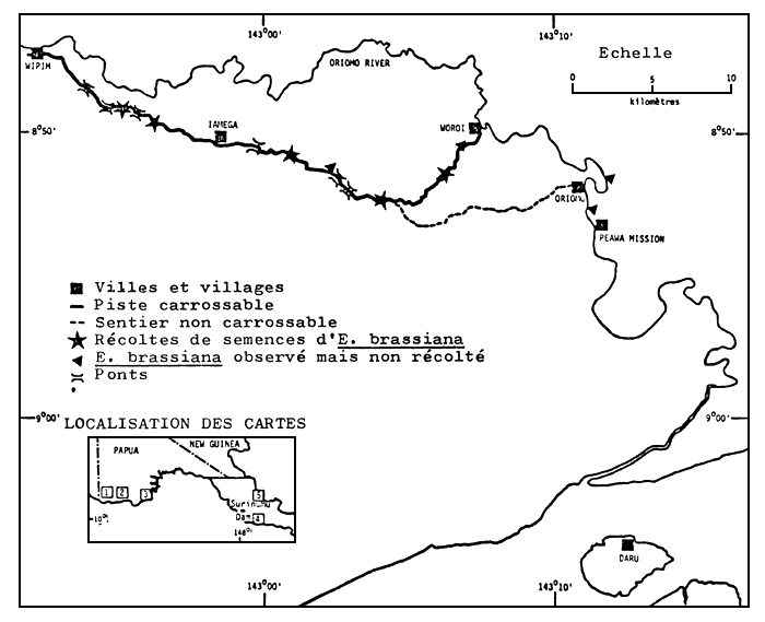 CARTE No3