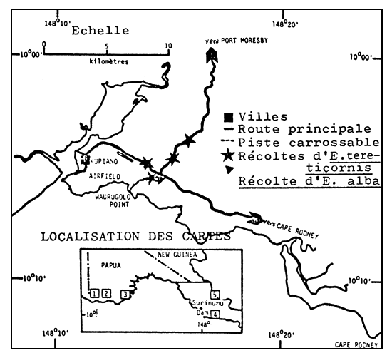CARTE No4