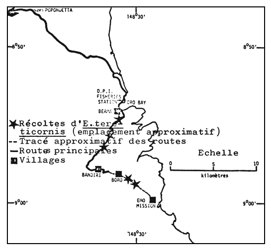 CARTE No5