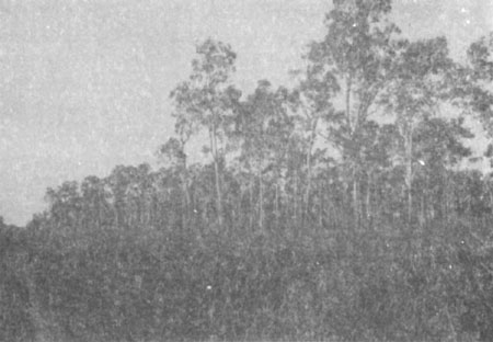 FIGURE 3C