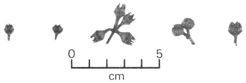 FIGURE 4 (C)