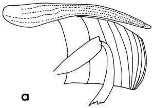 Figure 3a