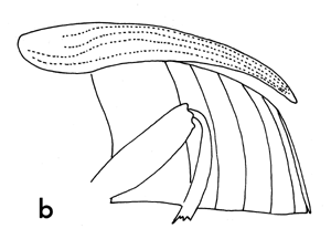 Figure 3b