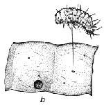 Figure 1b