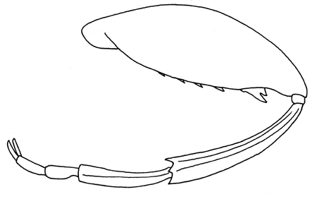 Fig. 10