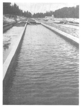 Fig. 12