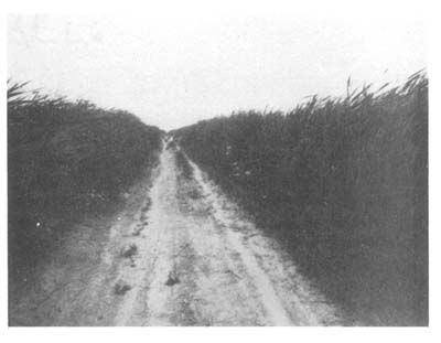 Fig. 23