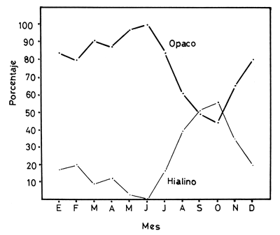 Fig. 9.