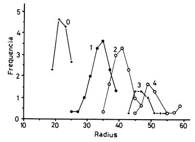 Fig. 10.
