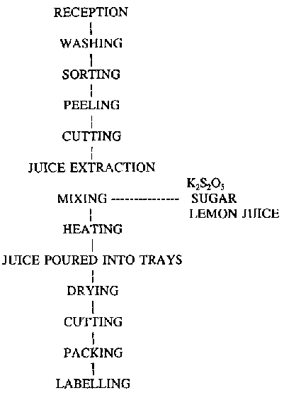Fruit and vegetable processing - Appendix I - Fruit and vegetable ...