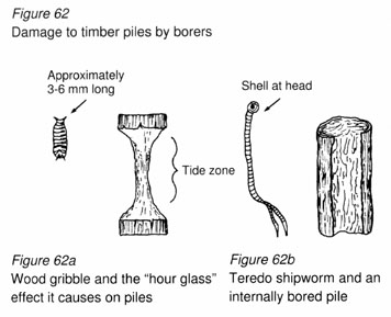 v5270e67.jpg (25893 byte)