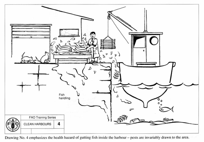 v5270ea9.jpg (60799 byte)