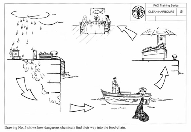 v5270eb0.jpg (52801 byte)