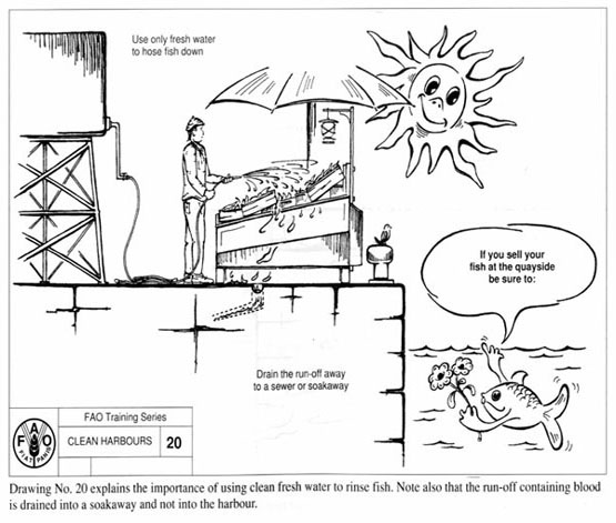 v5270ec5.jpg (65441 byte)