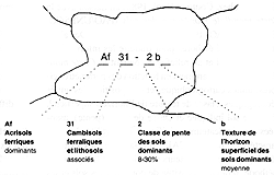 v8941f11.GIF (10565 bytes)