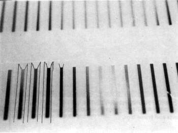 Flexible, 3 mm plastic sheets with rows of slots,  2 mm side on one side and 4 mm on the other