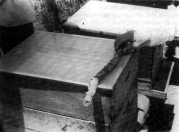 Four sheets are placed on the top super with the wider side of the holes facing down and with bee space (1 cm) between sheets and frame tops.