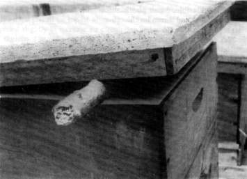 The cover is left open a little to increase ventilation and let light in This stimulates the bees to seal the slots with propolis.