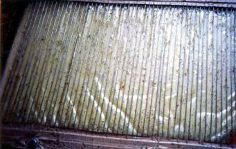 Close-up of collecting device with stings.