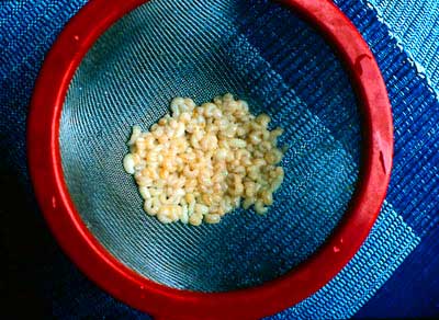 Bee larvae in a strainer for rinsing.