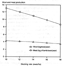 W2650t08.GIF (14561 bytes)