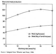 W2650t09.GIF (10503 bytes)