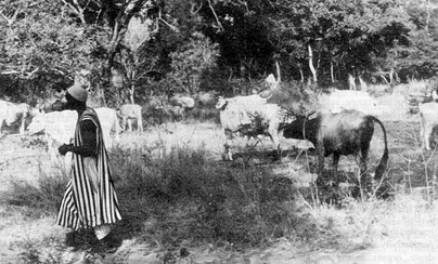 W2650t18.JPG (62771 bytes)