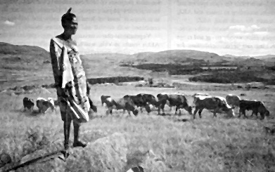 W2650t24.JPG (43854 bytes)